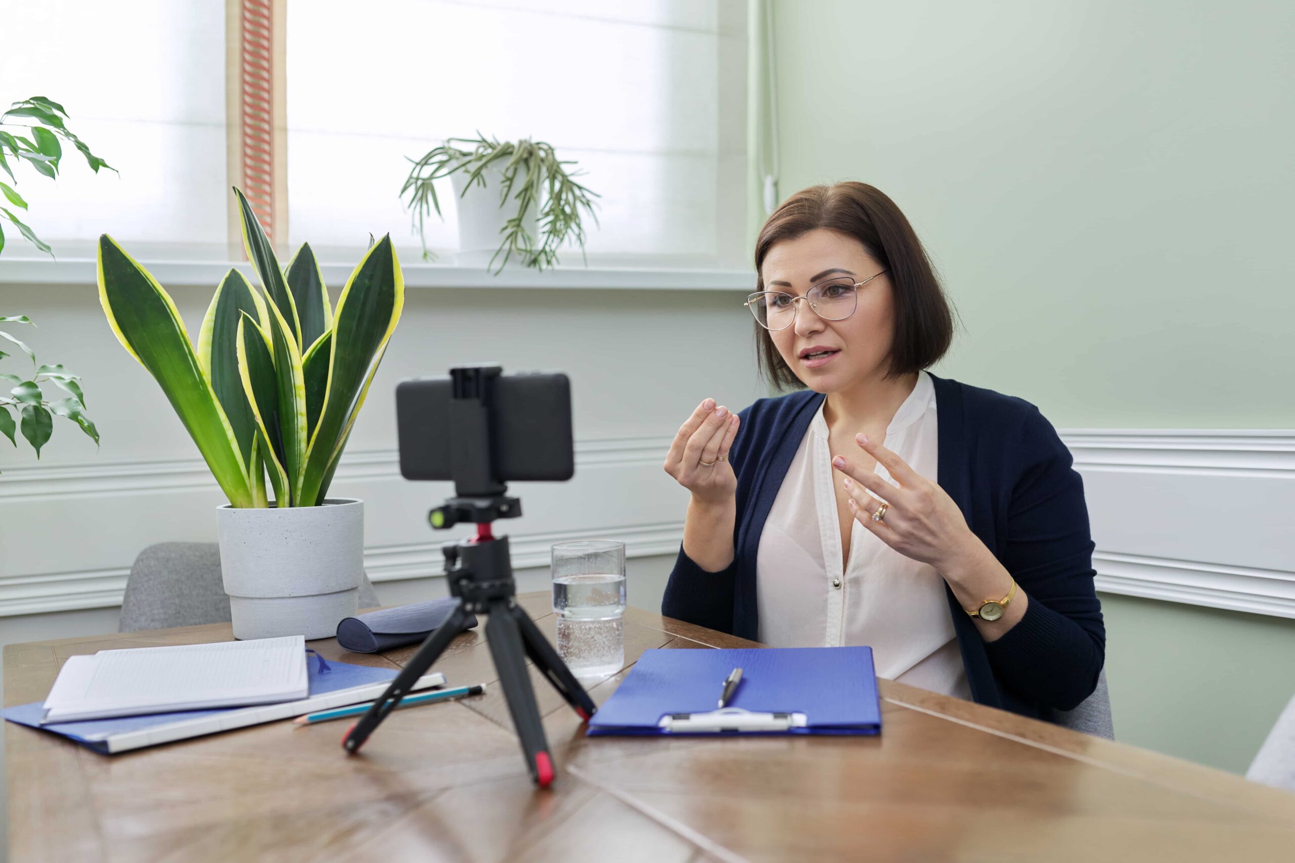 Professional woman explaining a concept during a mobile video call